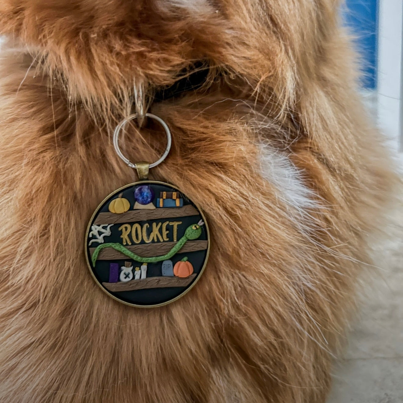 Witches Cabinet Tag